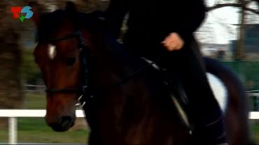 Samo sport, 7.11.2014.