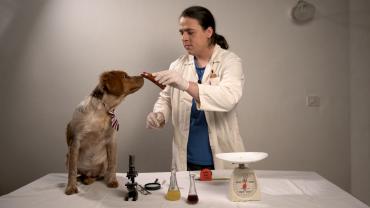 Alter ego 11.3.2021.