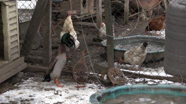 Akademska četvrt 12.2.2021.