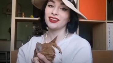 Televizija Student za HTV4