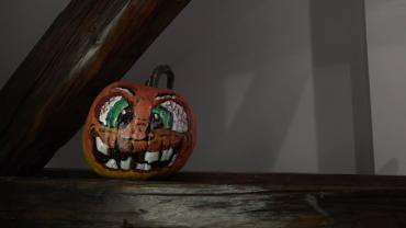 Kultura nije tortura 11