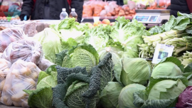 indoor urban eko poljoprivreda