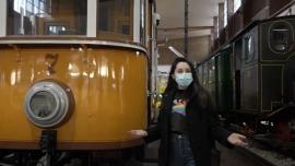 Trivijator Automobili