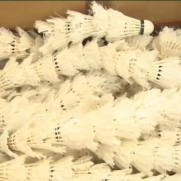 Samo sport 30.1.2015.