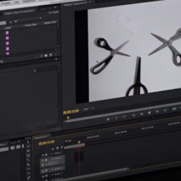 Akademska četvrt 7.2.2020.