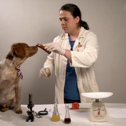 Alter ego 11.3.2021.