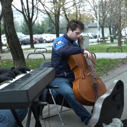 Glazbenici braća Skreblin
