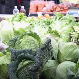 indoor urban eko poljoprivreda