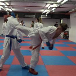 Karatistica Jelena Pehar; sportašica s Fakulteta prometnih znanosti