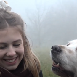 Humanitarna šetnja pasa