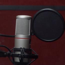 Sinkronizacija animiranih filmova