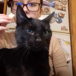 studentski_zivot_s_kucnim_ljubimcima