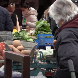 Trešnjevka: nekad i sad