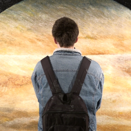 Posjetitelj ispred uramljenih slika planeta